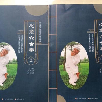 心意六合拳 DVD 心意六合拳 第1巻 基本編
