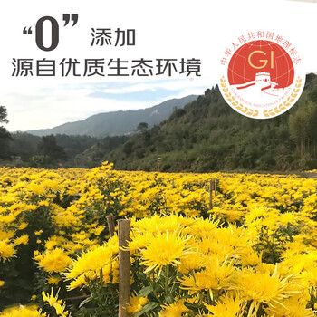 菊芝韵菊花茶 30朵金丝皇菊27g 0添加无硫熏 茶叶一朵一杯 菊芝韵菊花茶 30朵金丝皇菊27g 0添加无硫熏 茶叶一朵一杯