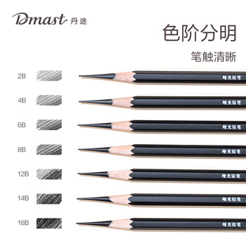 得力（deli）丹途哑光铅笔2B(10支/盒)专业绘画手绘素描彩绘软款画画RK2-2B女孩儿童