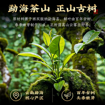 七春茶化石 小罐熟茶 糯香碎银子云南普洱古树茶叶180g中秋节自饮礼物