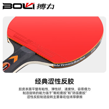 搏力（BOLI） 乒乓球拍 F01初学涩性反胶海绵乒乓球拍套装 2件起售 DH
