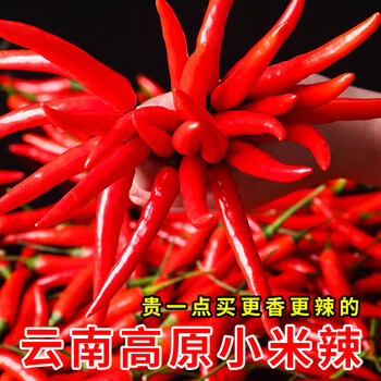 隽辰堂云南新鲜小米辣椒5斤朝天红辣椒五七彩椒指天椒特辣蔬菜整箱5斤