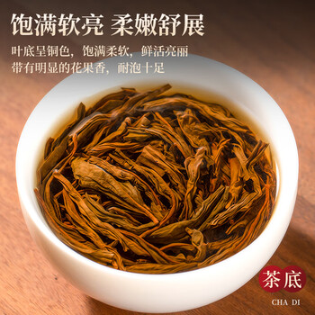 三隐 红茶 正山小种武夷山新茶浓香型茶叶礼盒装500g年货过节送老丈人