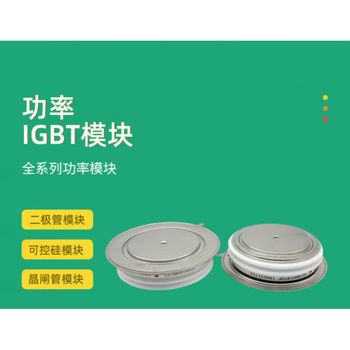 澜世 可控硅晶闸管  T2009N34TOF