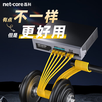 磊科（netcore）S6P 6口百兆4口供电POE交换机 安防监控摄像头分离器 工程企业非网管网络交换器 适配弱电箱
