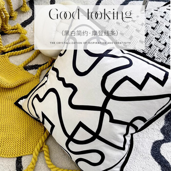 艾薇抱枕套 沙发抱枕靠垫套床头靠枕套45*45cm艺术线条