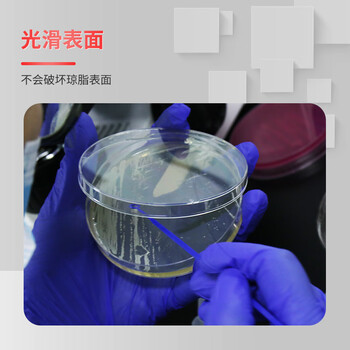 世泰 接种环一次性无菌塑料微生物采样棒接种棒丝接种针涂布棒实验室用耗材 【10μL无菌接种环】20支
