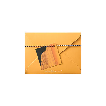 洧宜贺卡信封信纸套装创意高颜值贺卡高级感精美表白告白信封送女友生日礼物信纸送闺蜜手写贺卡