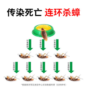 郁康蟑螂药呋虫胺12粒*1盒全窝强力端特效虫卵双杀一窝除杀蟑螂贴家用
