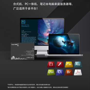 长城（Great Wall) 240GB SSD固态硬盘 SATA3.0接口 读速520MB/S台式机/笔记本通用 GW520系列