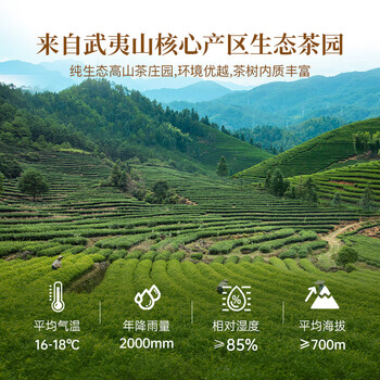 华祥苑武夷山岩茶肉桂茶叶一级16.6g 华祥苑武夷山岩茶肉桂茶叶一级16.6g