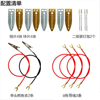 舜江 水果电池材料包实验套装diy 小学科学教学器材发电装置铜片锌片原电池 基础款纸盒装