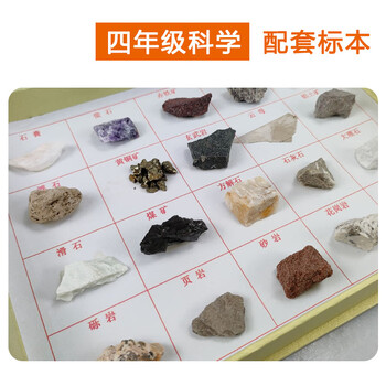 【全网低价】舜江 岩石矿物标本 地理科普展示教具学具小学四年级科学自然课用观察矿物石头 20种矿物岩石标本+放大镜