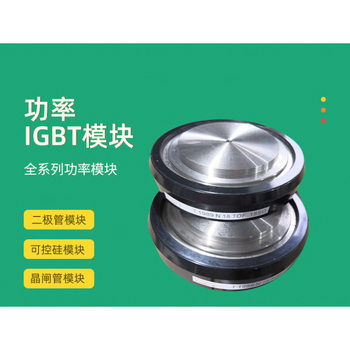 澜世 可控硅晶闸管  T2009N34TOF