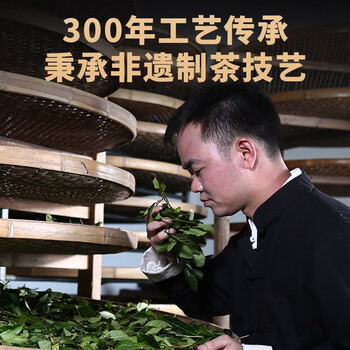传奇会乌龙茶 安溪铁观音 清香型一级500g茶叶2026新茶礼盒装父亲节礼物 传奇会乌龙茶 安溪铁观音 清香型一级500g茶叶2026新茶礼盒装父亲节礼物