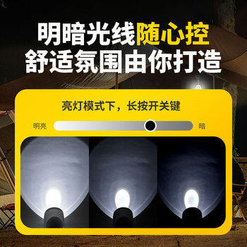 齐心（COMIX）露营灯 户外露营夜市地摊灯充插两用双光多功能灯 白色 LZ-209