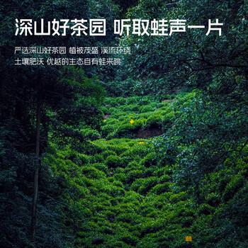 卢正浩绿茶蛙来跳龙井二级200g2025新茶雨前钱塘龙井茶叶纸包自饮送礼