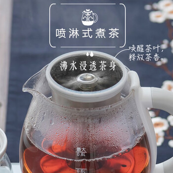 小熊 新中式煮茶器 0.8L 喷淋煮茶 茶汤分离 七大茶类 两种保温微电脑控制 ZCQ-A08E1 