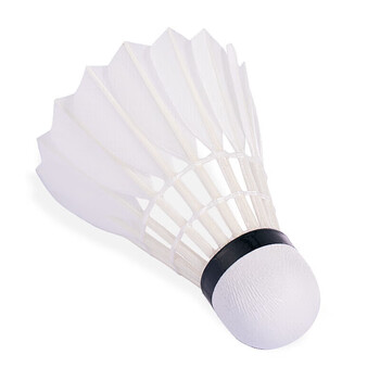 亚狮龙专业比赛鸭毛羽毛球稳定耐打金冠C4号77速12只装/桶