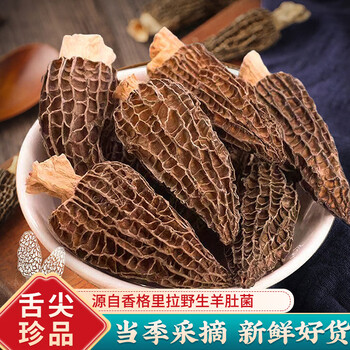 新鲜羊肚菌价格报价行情- 京东 新鲜羊肚菌价格报价行情- 京东