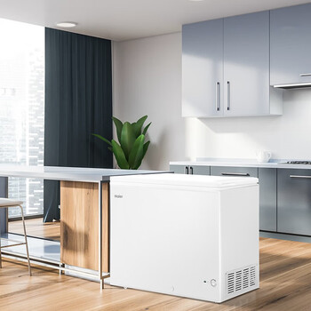 海尔（Haier）300升一级能效低霜商用家用冰柜大容量冷藏柜冷冻柜小冰柜家用小型冰箱冷柜BC/BD-300GHD