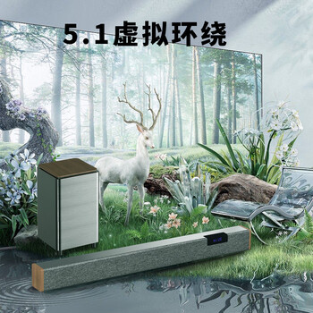 纽曼（Newmine）G65 回音壁音响 家庭KTV音响套装 家庭影院 电视音响 客厅家用无线K歌蓝牙音箱 麦克风 低音炮