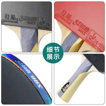 红双喜DHS狂飚五星乒乓球拍横拍反胶弧圈结合快攻H5002含拍包