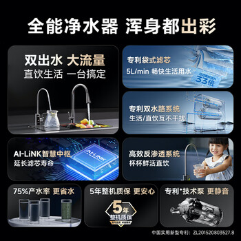史密斯（A.O.SMITH）净水器家用净水器AI-LiNK厨房专用台下用净水机直饮一体机双出水 冠军之选 R1800DWWi