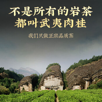 珍茶师乌龙茶武夷岩茶肉桂特级250g中火盒装品质茶叶送礼