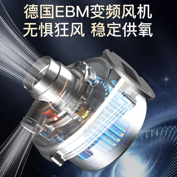 奥克斯（AUX）全预混冷凝壁挂炉一级能效天然气供暖采暖热水两用锅炉地暖暖气片LL1GBQ26-MA-QS350(S)