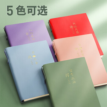 ujia 现金日记账本每日流水分类明细手帐本日常开销收支明细记录家庭理财方形本a5 浅紫