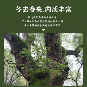 福东顺 茶叶 普洱茶老班章云南七子饼古树普洱茶生茶饼357g