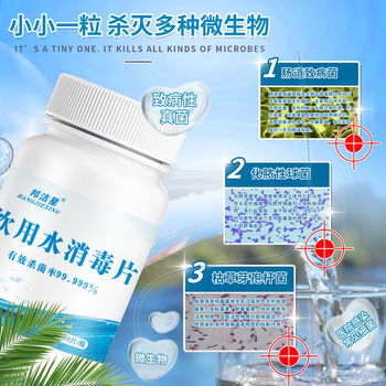 邦洁星饮用水消毒片1瓶 农村井水饮水消毒粉洪灾后净化水质消毒片食用级