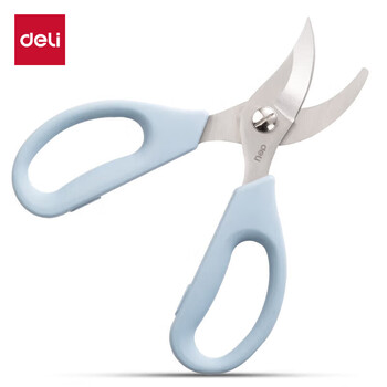 得力（deli）园艺剪刀修剪树枝花艺盆栽剪 家用鲜花插花专用剪刀 绿箩绿植花卉果树 77752 蓝色