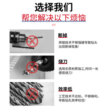 德力西电气（DELIXI ELECTRIC）霸王钻瓷砖打孔合金钻墙混凝土麻花钻头DLX-G5-5【12mm】