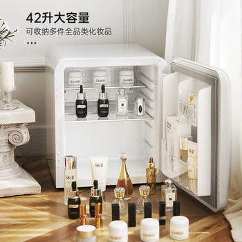 HCK哈士奇化妆品冰箱家用宿舍美妆小冰箱42升冷藏护肤品面膜母乳保鲜单门送礼小冰箱BC-46COC 典雅白