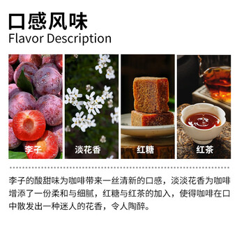 LUJIAZUI鹿家嘴埃塞耶加雪菲 孔加G1原生种浅度烘焙手冲单品咖啡豆200g