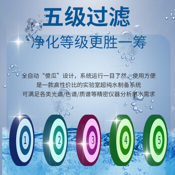 恩谊 超纯水机实验室纯水仪化水机ro反渗透去离子水设备学校净水器 UP-10L二级水