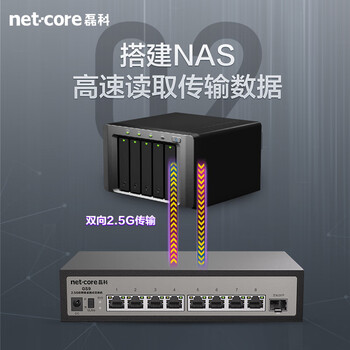 磊科（netcore）GS9 9口企业级交换机8个2.5G电口+1个万兆SFP光口 支持向下兼容1G光电模块 千兆网络分线器