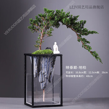 藍釉開片八方鉢 盆栽 多肉菖蒲盆栽 植木鉢 景德镇 装饰品 工艺品 置物 藍釉開片八方鉢 盆栽 多肉菖蒲盆栽 植木鉢 景德镇 装饰品 工艺品