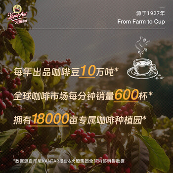 火船 意式挂耳咖啡 手冲滤泡挂耳黑咖啡粉（10g*10包） 印尼进口