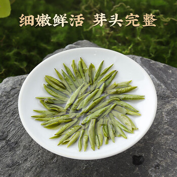 骏江南2026新茶明前龙井特级250g明前嫩芽茶叶礼盒装春茶送礼送长辈