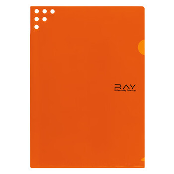 齐心（COMIX）10只A4L型文件套 文件夹透明单片夹 票据收纳 加厚二页式文件夹文件快递袋E3310 RAY 橙