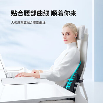 PPW 靠垫人体工学腰垫汽车腰靠腰托腰椎垫办公室靠背腰枕座椅椅子 PPW 靠垫人体工学腰垫汽车腰靠腰托腰椎垫办公室靠背腰枕座椅椅子