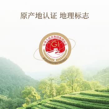 七春特级 白毫银针 白茶礼盒福鼎2021年老白茶300g散茶端午长辈送礼