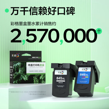 彩格PG645XL墨盒 CL646XL墨盒套装 适用佳能Canon PIXMA MG2560 MG2460 MG2965 TS3160喷墨打印机墨盒 两套装
