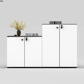 书柜家用储藏柜档案资料办公桌背景文件柜高低矮柜组合 白色一中一矮