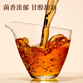 七春泾阳茯茶 黑茶 金花茯砖茶叶熟茶陈年陕西西安特产45g品鉴自己喝