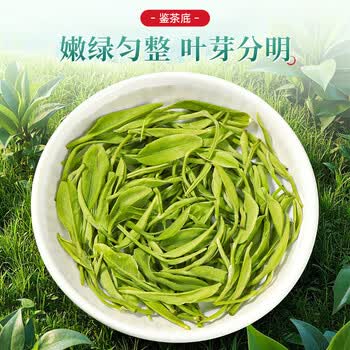七春2026新茶雨前绿茶叶陕西紫阳富硒产区毛尖自己喝送长辈领导250g