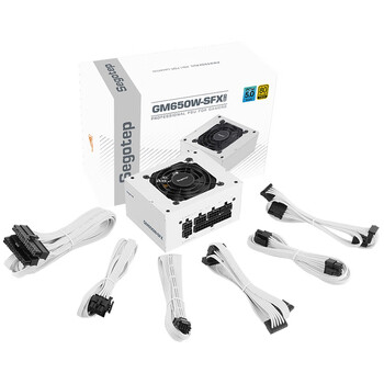 鑫谷（segotep）（Segotep）GM650W-SFX冰山版金牌全模组电源（原生PCIE5.0/白色模组线/micro电脑机箱小电源）